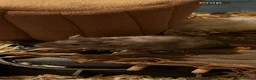 Mouse rodents for sale: FEMALE MOUSE NEEDS REHOMING - Advert 3