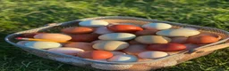 Chickens poultry for sale: Hatching eggs, Chicks & Ducklings - Advert 2