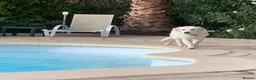 Golden Retriever dogs for sale: Exceptional Golden retriever litter - Advert 14