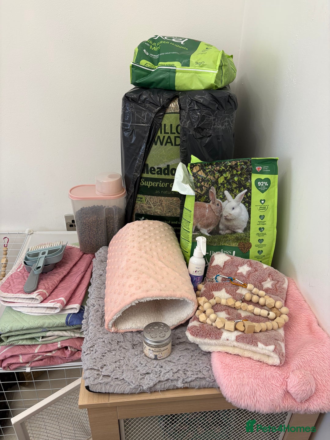 Mixed Breed rabbits for sale: Indoor Rabbit Plus Full Set Up/Etc. For Sale - Advert 12