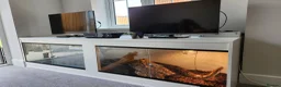 Boa Snake reptiles for sale: 9ft Boa constrictor plus vivarium  in Saint Leonards-on-sea - Advert 3