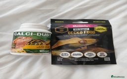 Gecko reptiles for sale: Crested Ghekko, enclosure and extras included  - Advert 4