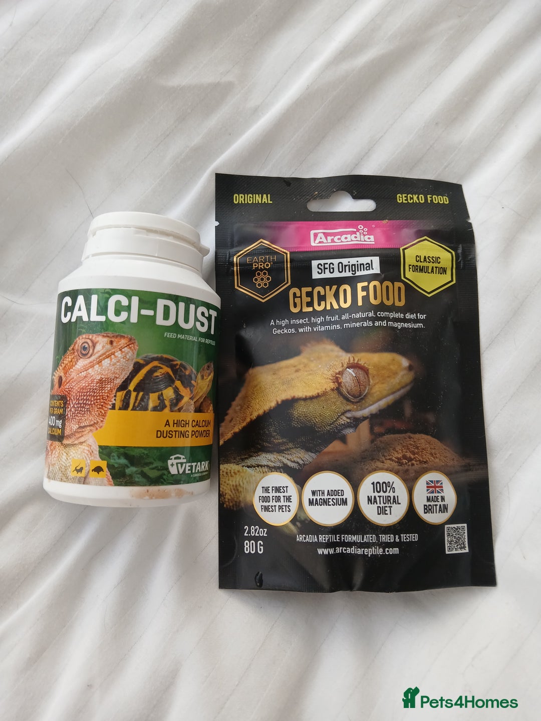 Gecko reptiles for sale: Crested Ghekko, enclosure and extras included  - Advert 4