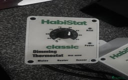 Leopard Gecko reptiles for sale: Exo Terra Terrarium - Full Leopard Gecko Setup - Advert 10