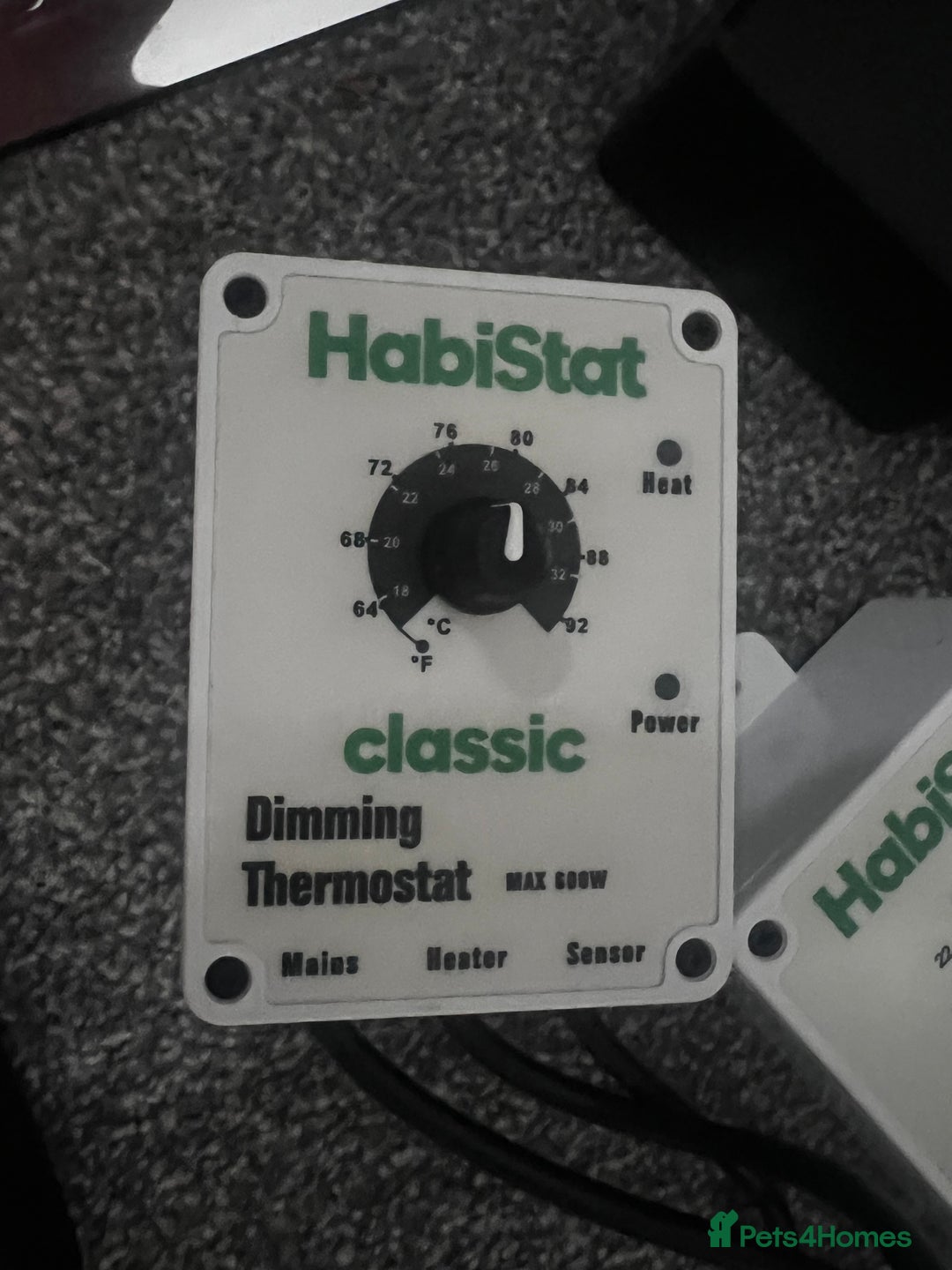 Leopard Gecko reptiles for sale: Exo Terra Terrarium - Full Leopard Gecko Setup - Advert 10