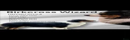 Australian Shepherd dogs for sale: Australian shepherds  - Advert 14
