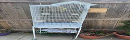 Lovebirds birds for sale: Budgies in Northampton - Advert 2