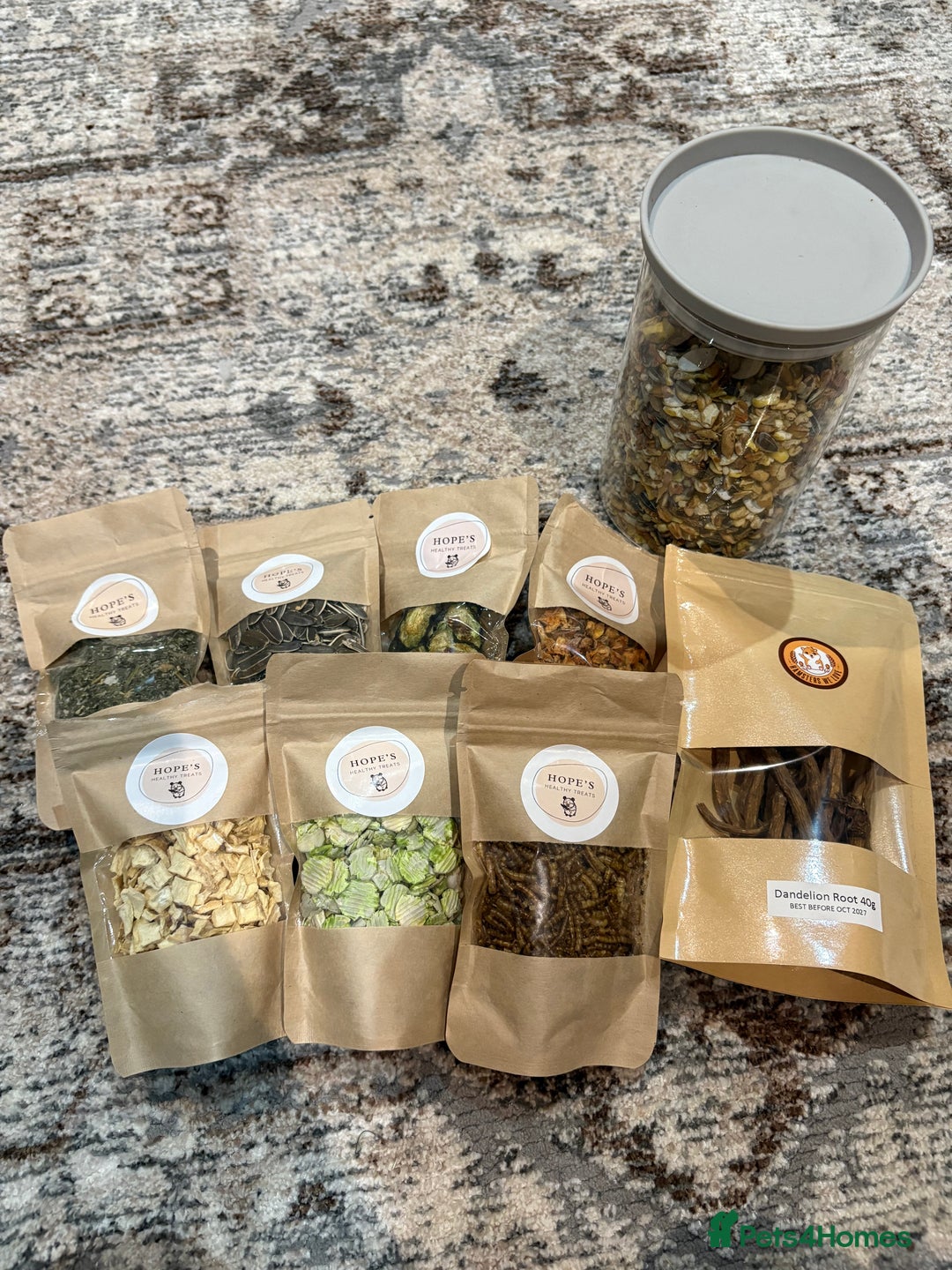 Hamster rodents for sale: Male Syrian Hamster - Advert 7