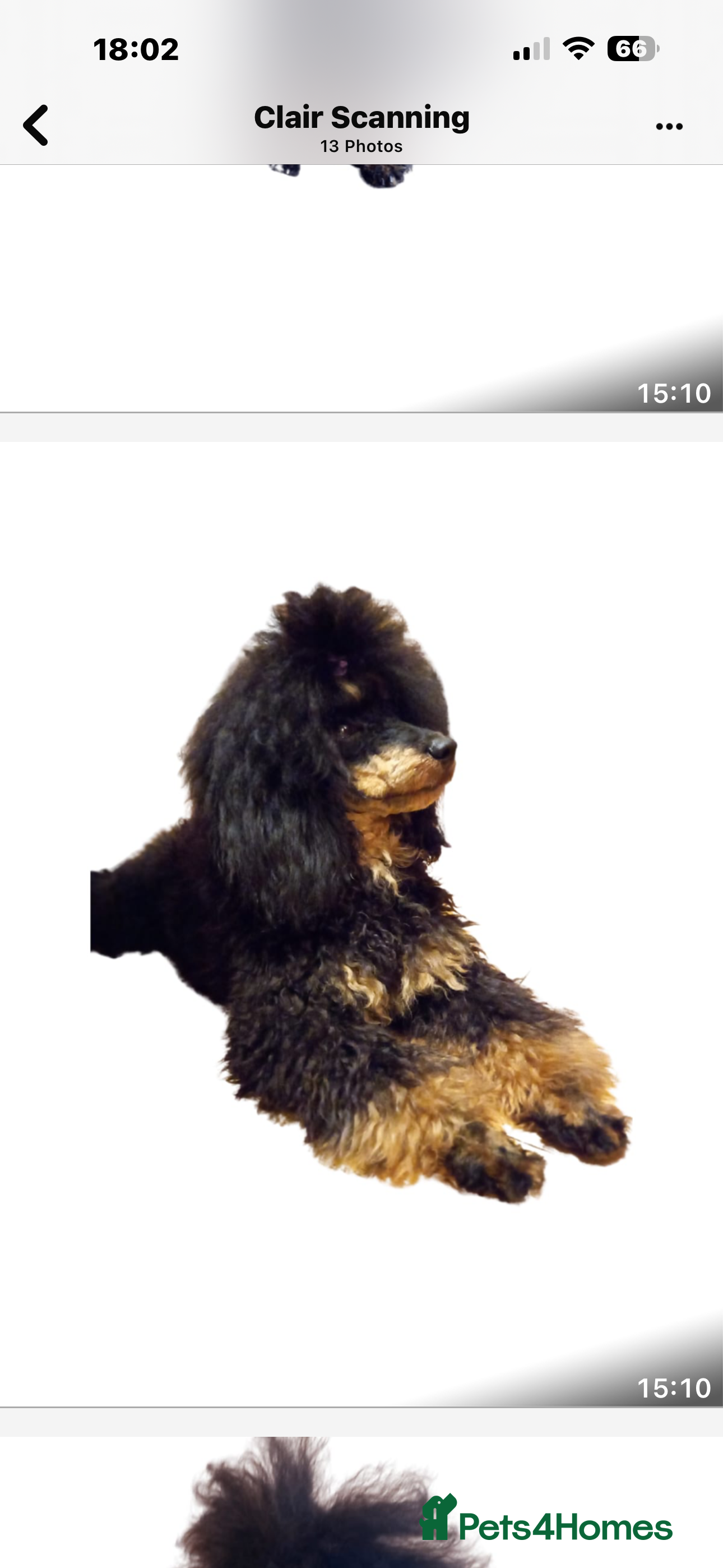 Midnight patrol 