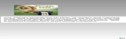 Dachshund dogs for sale: Miniature dachshund  in Kilmarnock - Advert 2