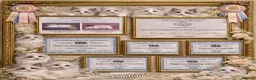 Ragdoll cats for sale: Elegant & stunning kittens  - Advert 7