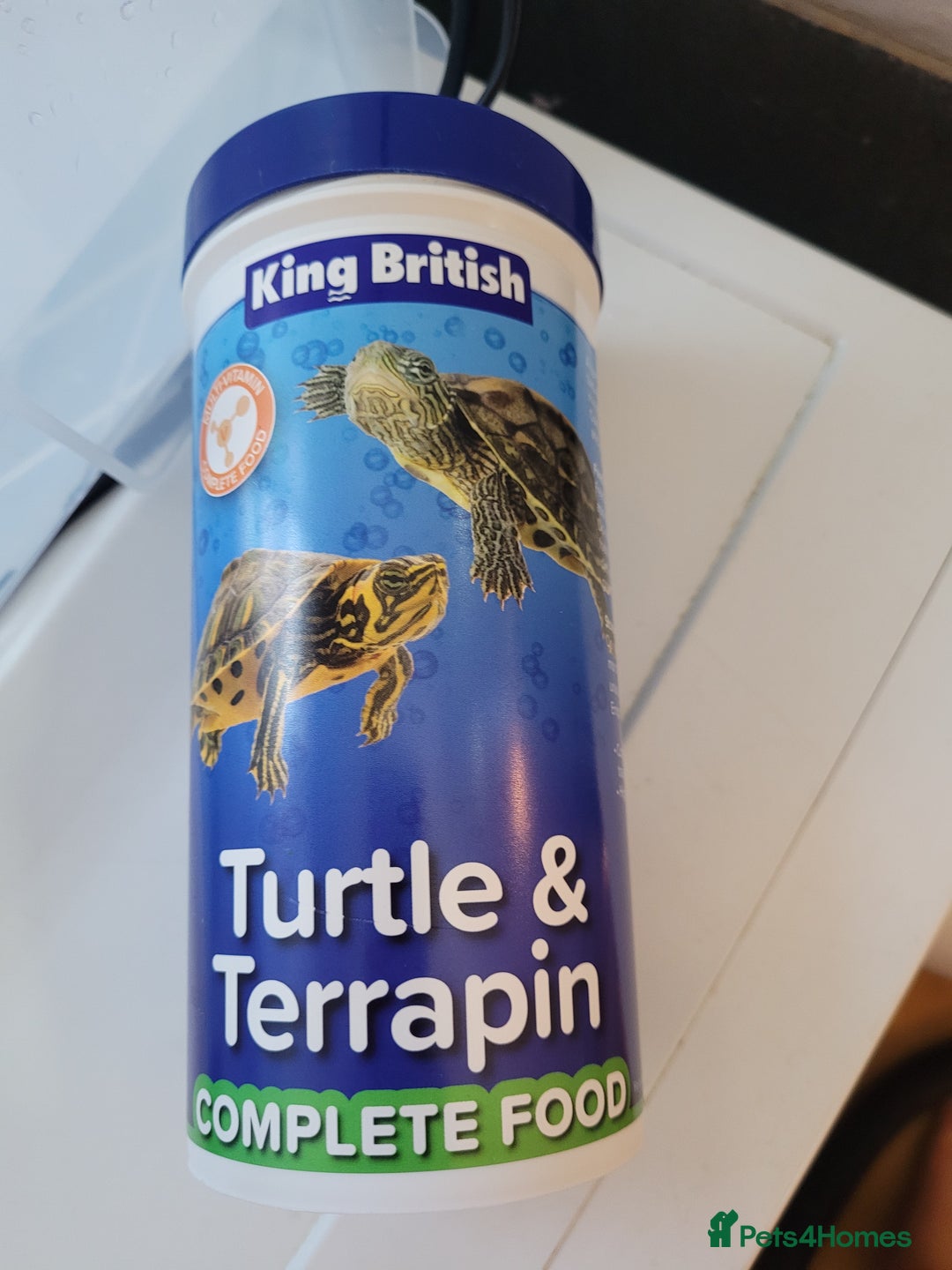 Turtle reptiles for sale: TURTLES FOR SALE - Image 8