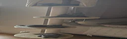 British Shorthair cats for sale: British Shorthair Kittens - Advert 2