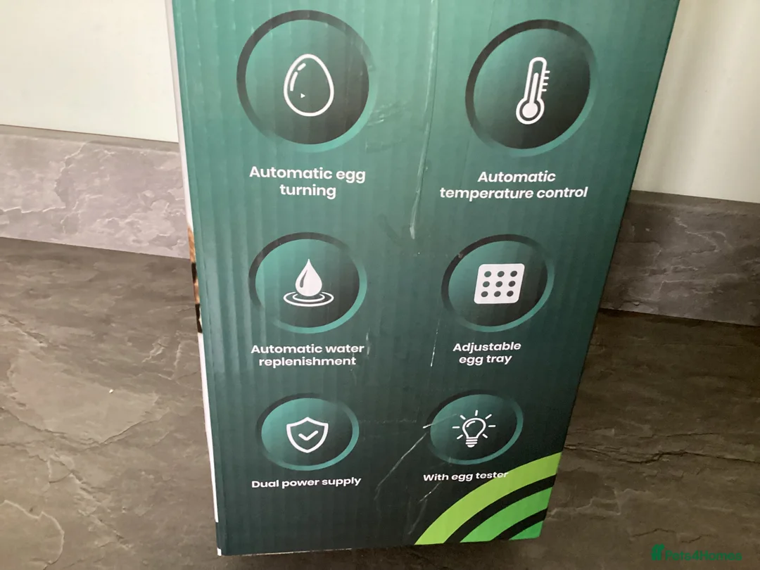 Mixed Breed poultry for sale: Incubator fully automatic in Haverfordwest - Advert 3