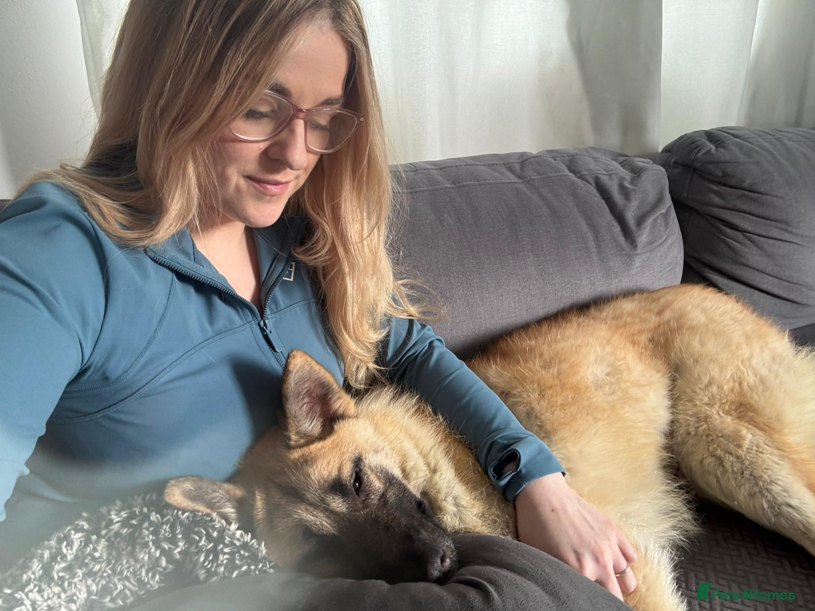 Mixed Breed dogs ❤️JILLY❤️ INTELLIGENCE, LOVE & BEAUTY ALL IN ONE  - Advert 2