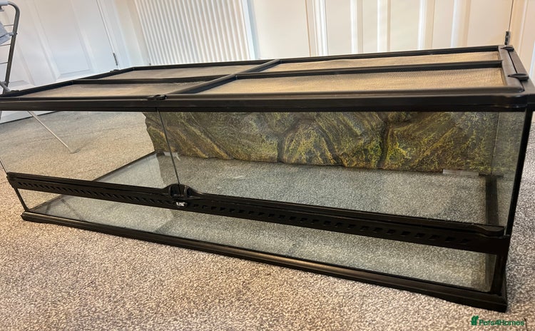 Leopard Gecko reptiles Exo Terra Terrarium - Full Leopard Gecko Setup - Advert 1