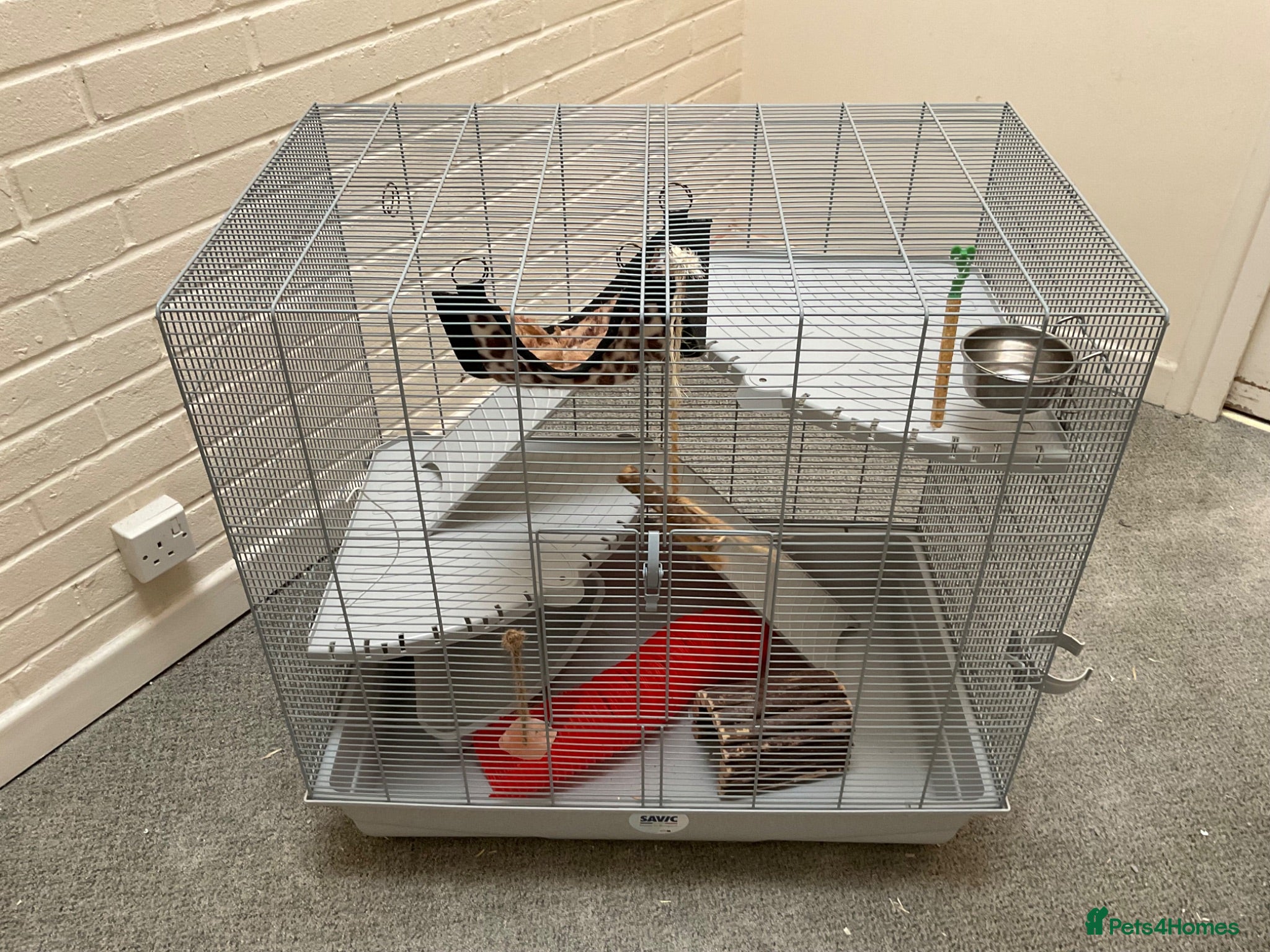 Rat rodents Large rat cage with equipment (no pet included) - Advert 12