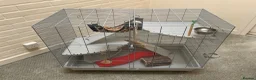 Rat rodents for sale: Large rat cage with equipment (no pet included) - Advert 1