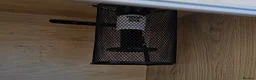 Corn Snake reptiles for sale: Male corn snake  - Advert 3