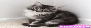 Maine Coon girl 4