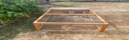 Tortoise reptiles for sale: Female Herman’s Tortoise  in Haywards Heath - Advert 4