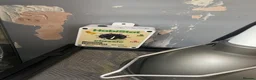 Gecko reptiles for sale: Mourning gecko enclosure and sand gecko enclosure  - Advert 4