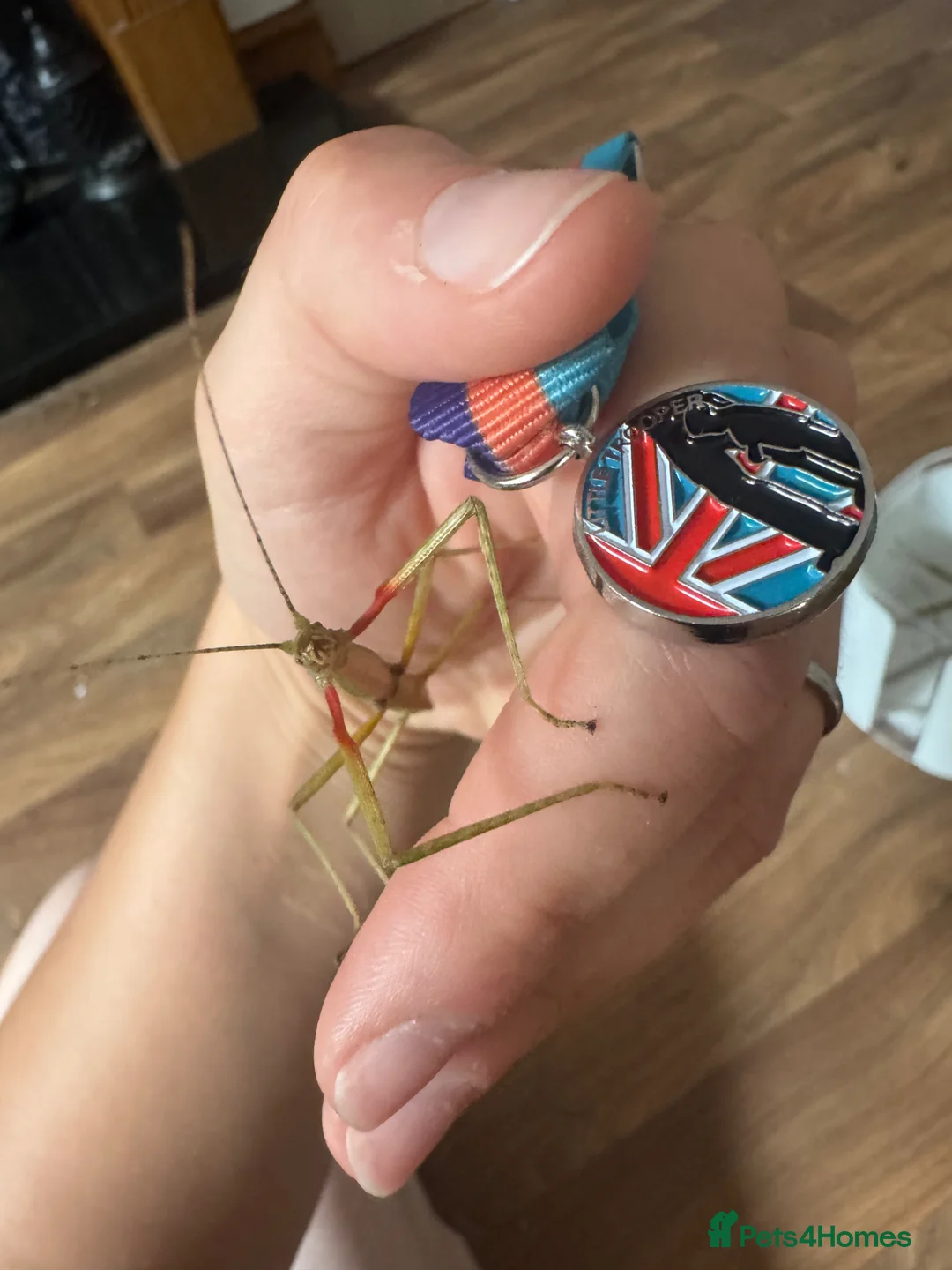 Gallery Image {{count}}