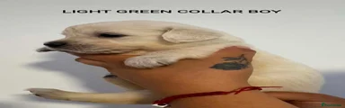 LIGHT GREEN COLLAR BOY