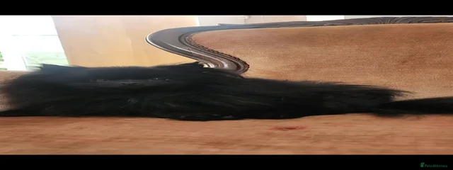 Maverick