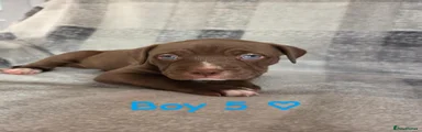 Boy 5
