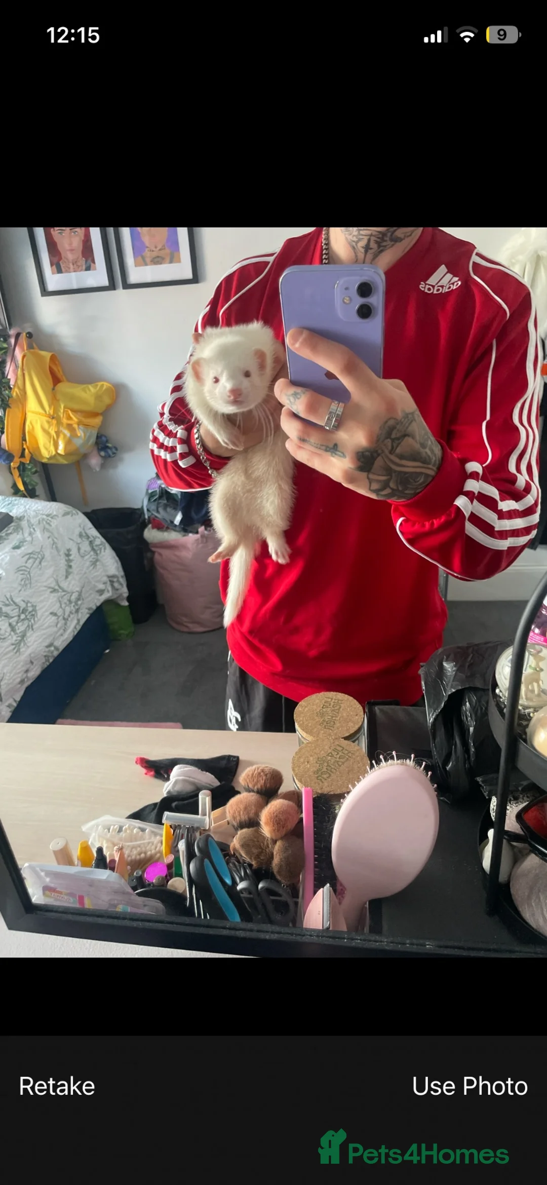 Ferret rodents for sale: 2 young ferrets and cage  - Advert 2
