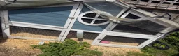 Mixed Breed rabbits for sale: 3 rabbits and cage  in Staines - Advert 7