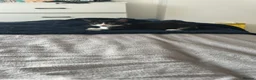 Mixed Breed cats for sale: Kitten  in London - Advert 7