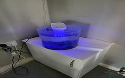 Bettas fish for sale: Cylinder tank, accessories and betta fish - Image 5