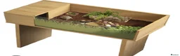 Mixed Breed reptiles for sale: Tortoises,crested geckos and corn snake  in Chatham - Advert 8