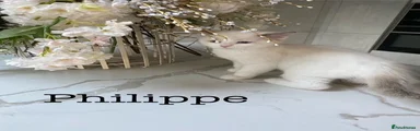 Philippe