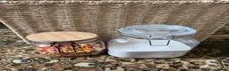 Hamster rodents for sale: Syrian hamster and cage  - Advert 3