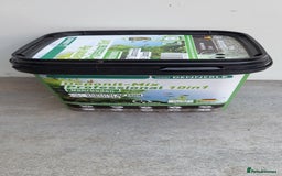 Tetras fish for sale: Fish Tank (200L) - Image 13