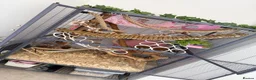 Rat rodents for sale: Double critter nation and large Perspex base  in Liverpool - Advert 2