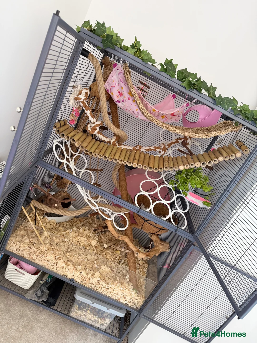 Rat rodents for sale: Double critter nation and large Perspex base  in Liverpool - Advert 2