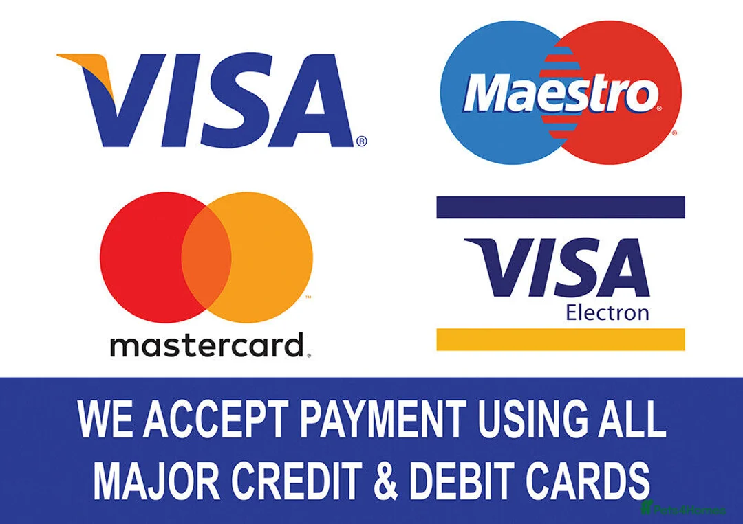 Bichon Frise dogs for stud: Alfie, super stud in Birmingham - Advert 3