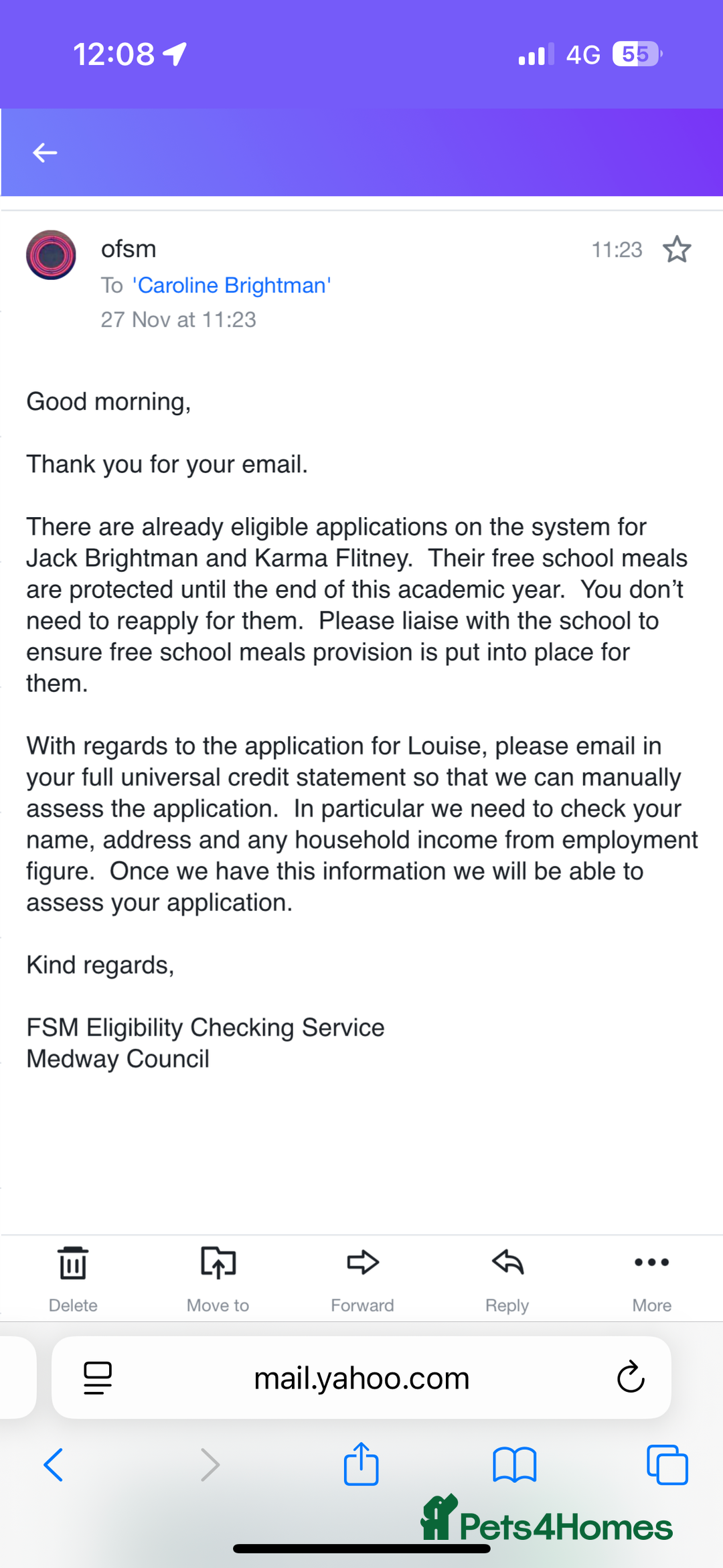 Mixed Breed dogs for sale: Poodle  - Advert 2