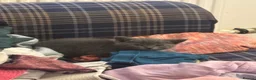 Mixed Breed cats for sale: Beautiful kittens looking for forever home 🐾  - Advert 12