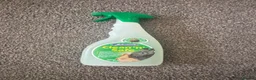 Gerbil rodents for sale: 2 Gerbils and starter set up!  in Birmingham - Advert 19