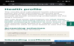 Labrador Retriever dogs for stud: 🌟Fully Health Tested Labrador at stud🌟 in Malmesbury - Image 5