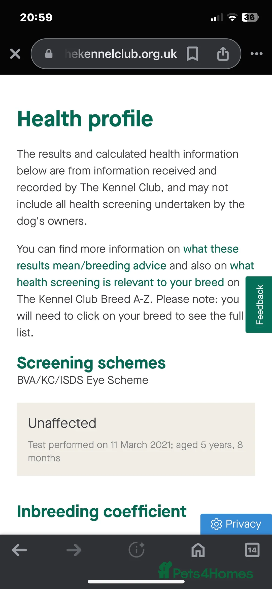 Labrador Retriever dogs for stud: 🌟Fully Health Tested Labrador at stud🌟 in Malmesbury - Advert 5