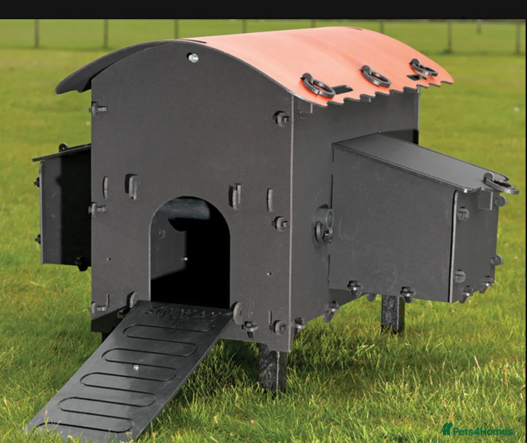 Mixed Breed poultry for sale: Eco Hen Loft - Recycled - 3/4 Hens - Advert 1