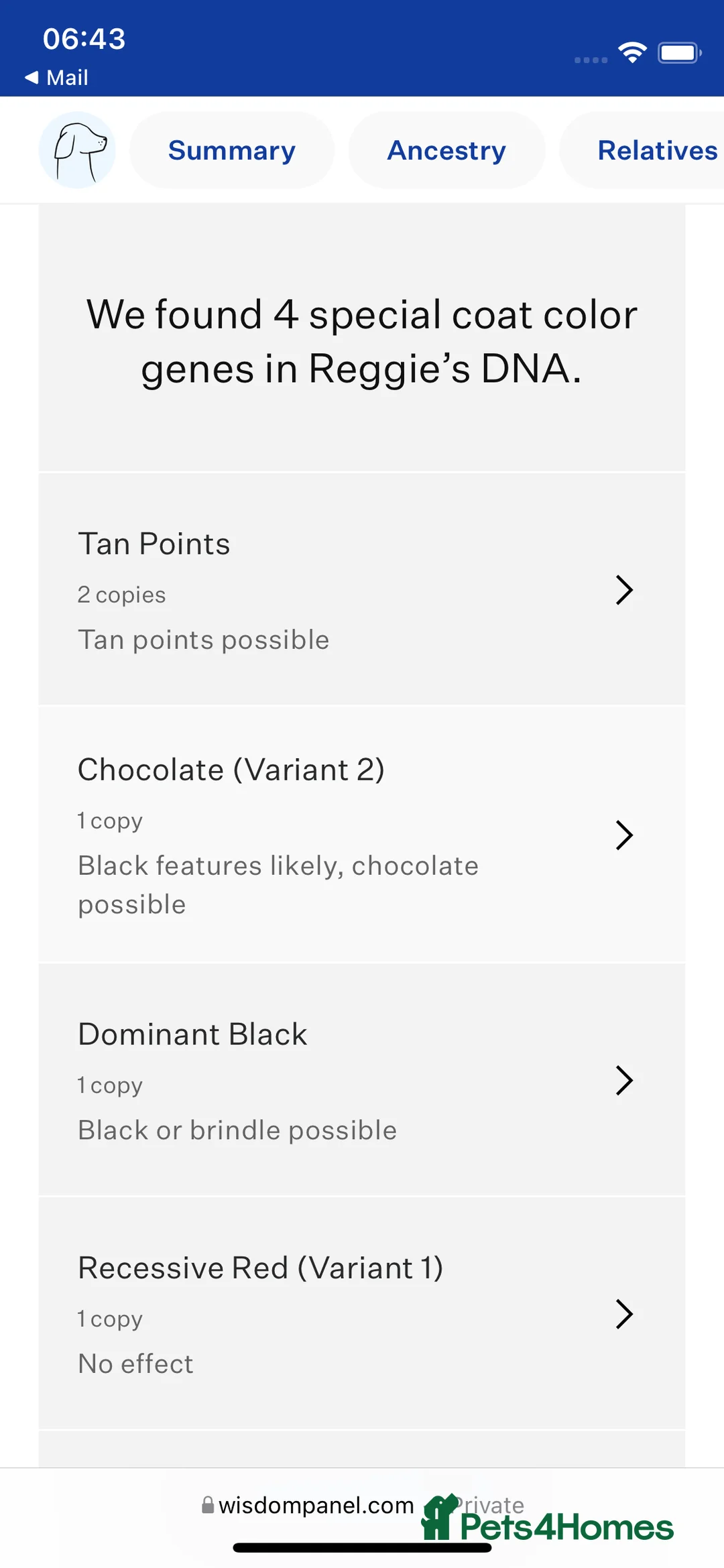 Cocker Spaniel dogs for stud: K.C working black cocker dog for stud in Barnard Castle - Advert 9