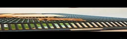 Gecko reptiles for sale: Crested gecko babies  - Advert 6