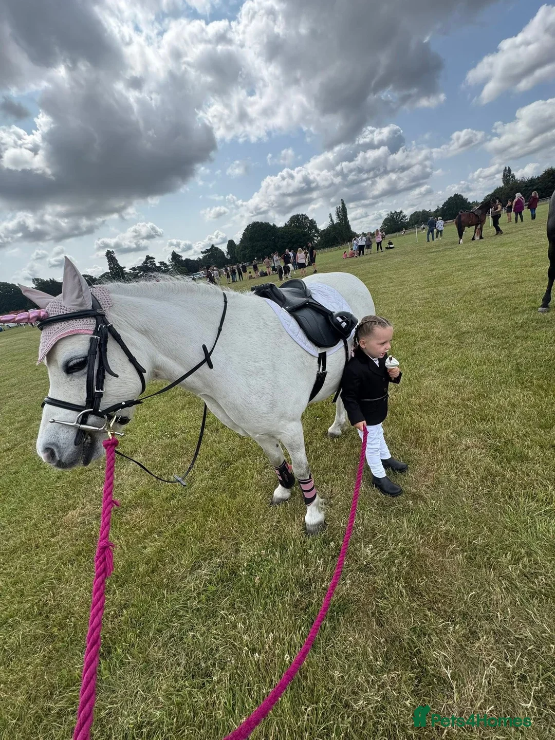 Welsh Section A horses for sale: LEAD REIN PONY  - Advert 4